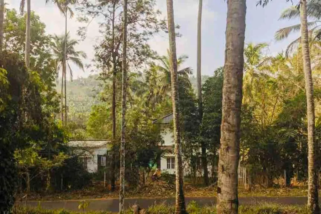 Batheri Exuberance Villa