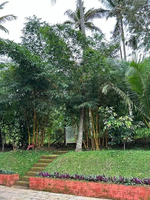 Batheri Exuberance Villa הודו
